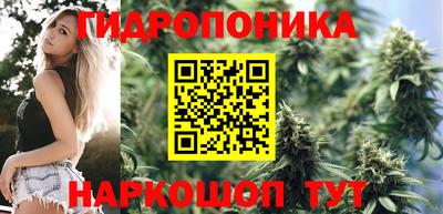 гашишное масло Будённовск
